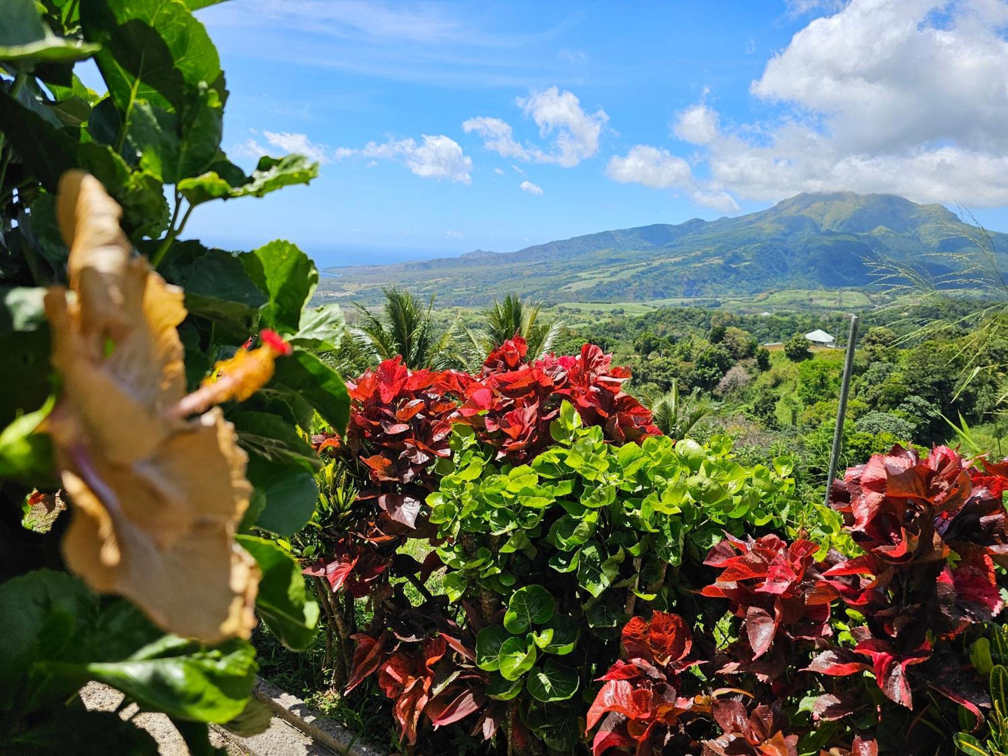Vila Le Hameau Du Morne Des Cadets Fond-Saint-Denis Exteriér fotografie